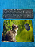 Rakkun Shop - Kedi ve Kelebek Baskılı MousePad (28x40 cm)