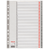 Esselte Seperatör 1-31 Rakamlı Plastik A4 100108