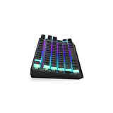 Endorfy Thock Wireless TKL Pudding Kailh Red Switch RGB İngilizce Kablosuz Hotswap Mekanik Gaming Klavye (EY5A119)