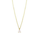 Nisera Minimal Pearl Altın Kolye