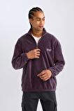 DeFacto Comfort Regular Fit Rahat Kalıp Dik Yaka Baskılı Polar Sweatshirt C7793AX24AUPR148