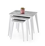 Arya High Gloss Dikdörtgen 3lü Zigon Sehpa