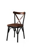 Bahar Mutfak Bahçe Cafe Sandalyesi 2 Li Set