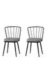 Modern Mutfak Cafe Bahçe Sandalyesi Buse 2 Li Set
