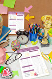 Budget Planner |  Bütçe-Hedef  Planner, Haftalık Ajanda, Aylık Defter | A5 50Syf 