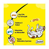 Dreamies Peynirli Kedi Ödül Maması 60 gr 6 Adet