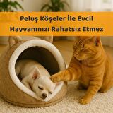 Kedi Evi Köpek Evi Evcil Hayvan Yatağı Katlanabilir Keçe Yuva Krem 40x35x34 CM