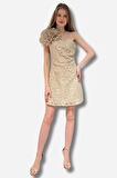 Dantel İşlemeli Tek Omuz Kısmı Aksesuar İşlemeli Mini Tasarım Elbise