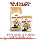 Royal Canin İran Kedisi için Kuru Kedi Maması 2kg