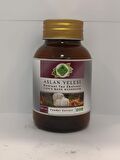 Aslan Yelesi Toz Ekstresi 100 Gr. Cam Kavanoz