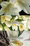 YENİ ŞİŞE  Avon Far Away ve Far Away Beyond Kadın Parfüm Paketi