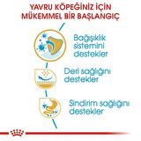 Royal Canin Pug Yavru Köpek Maması 1.5kg