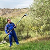 Campagnola Icarus Eco Zeytin Toplama Hasat Makinesi