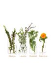 Çatlak Karşıtı & Nemlendirici Cilt Bakım Yağı 125 ml (2'li paket) - YENİ FORMÜL 60011591177732
