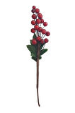 Orca Yılbaşı Çiçeği Kirazlı Kokina 15 cm Orc-Stk-2319