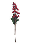 Orca Yılbaşı Çiçeği Kirazlı Kokina 15 cm Orc-Stk-2319