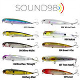 FUJIN Sound98 9,8cm 10,6gr Su Üstü Maket Balık 011 Illusion