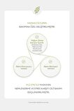 Artemisa Özü İçeriği ile Cildi Nemlendiren Yaprak Maske Artemisia Ampoule Mask
