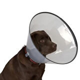 Elizabeth Kedi Köpek Yakalığı 12,5 CM