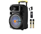 D-SOUND XP-15PA 15" TAŞINABİLİR HOPARLÖR