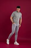 WOOLEN WORLD YAKALI REGULAR FİT ERKEK TRİKO T-SHİRT