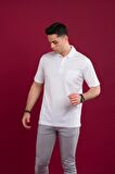 WOOLEN WORLD KLASİK KALIP POLO YAKA CEPLİ MERSERİZE ERKEK T-SHİRT