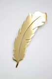 Çelik Tüy Broş - Altın