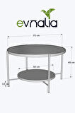 Nordic Orta Sehpa Temperli Cam 75 cm Demonte Çizilmez Kırılmaz Metal Çerçeve Raflı Minimalist Sehpa
