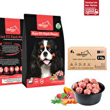 Kuzu Etli Köfte Çiğmamam Barf Köpek Maması 2 Kg 1000 Gr 2 Adet