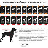 Lindo Dogs Aqua İçi Fileli Su Geçirmez Köpek Yağmurluğu Mavi Beden 4