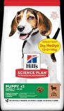 Hill's Science Plan Puppy Kuzu Etli Yavru Köpek Maması 12 Kg (+2 Kg Hediyeli)