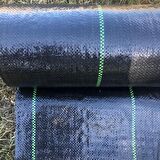 Filexus Sera Taban Örtüsü-Sulzer Siyah - 1.5m Yükseklik