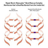 Marc Anthony® Repair Bond +Rescuplex™ Concentrated Hydrating Mask, 710 mL 00894