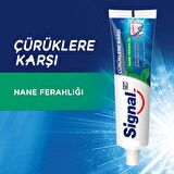 Signal Çürüklere Karşı Nane Ferahlığı Diş Macunu 50 ml