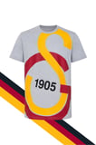 GALATASARAY ORİJİNAL LİSANSLI GRİ T-SHİRT, HEDİYELİ KIRMIZI T-SHİRT