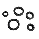 MSR Keçe Seti 5'li - Honda PCX 125,150