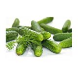 Naz Hıyar Tohumu Turşuluk 10GR 1 Paket