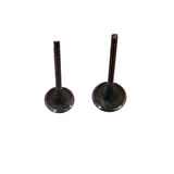 MSR Subap Takımı - Yamaha X MAX 250