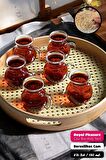 6'lı Royal Pleasure Borosilikat Cam Bardak Set Isıya Dayanıklı Keyfi Ala Kulplu Çay Fincanı Bardağı