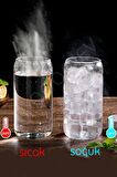 2li Bambu Kapaklı Pipetli Isıya Dayanıklı Cam Bardak 550 ml Kola Kutu Şekilli Kahve Sunum Bardağı