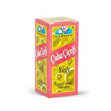 Karden Çuha Çiçeği Yağı 20 ML
