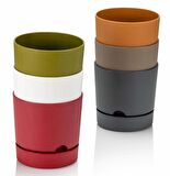 Poliwork Begonya 9 cm Renkli Plastik Tabaklı Saksı BORDO