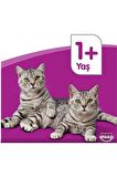 Whiskas Tavuklu 400 gr 12'li Yetişkin Kedi Konservesi