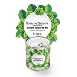 BUFFER® Konserve Bahçem Evde Konservede İri Yapraklı Kıvırcık Yetiştirme Kiti