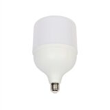 F.B.I Torch 40 Watt LED Ampul