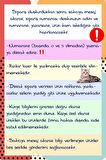 Kelebekler Kedi Köpek Künyesi Yuvarlak Şekilli