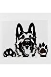 Camdan Bakan Kurt Köpeği Tasarım Oto Stickerı Siyah 12.3*15.6 Cm