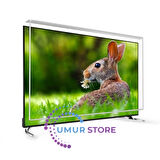 Samsung 55MU7350 CURVED Uyumlu TV Ekran Koruyucu