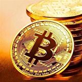 BUFFER® Bitcoin Madeni Hatıra Parası Madeni Bitcoin Hediye Sikke Para