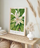 Çerçevesiz Poster Mary Vaux Walcott Umbrella Tree